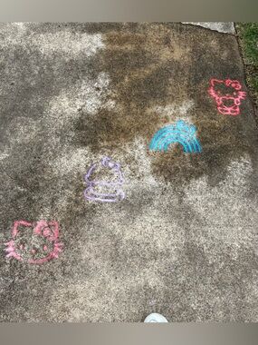 🌷🌷🌷Happy Spring! 🌷🌷🌷